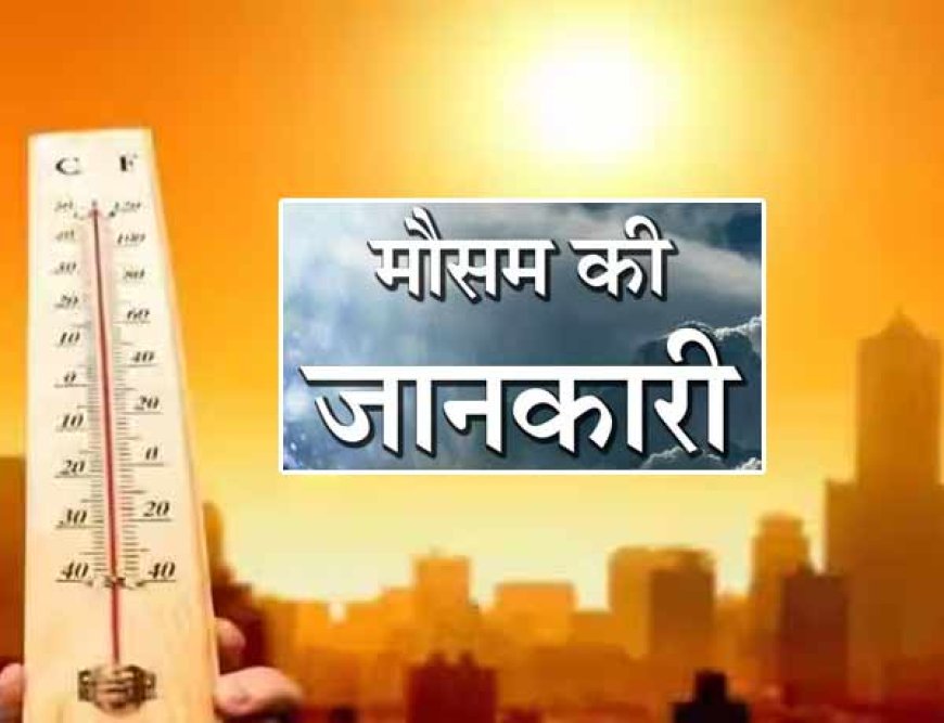 ठंड की हुई विदाई! फरवरी में ही मई वाली गर्मी, जानें इस हफ्ते कैसा रहेगा मौसम का हाल?