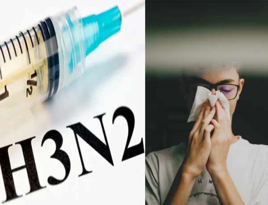 Seasonal Influenza के केसों में मार्च से आएगी गिरावट, H3N2 वायरस पर भी कड़ी नजर