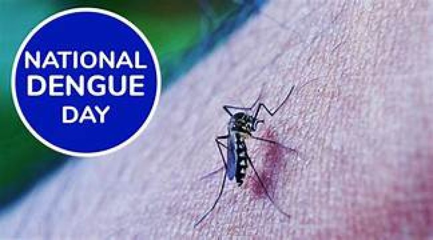 National Dengue Day 2023: मच्छरों के काटने से बचने के लिए अपनाएं ये असरदार टिप्स