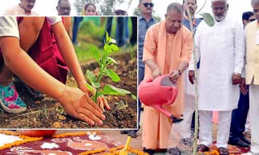 UP Tree Plantation: स्वतंत्रता दिवस के मौके पर लगे इतने पौधे, प्रदेश में 35 करोड़ पौधरोपण का लक्ष्य हुआ पूरा