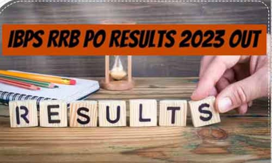 IBPS RRB Result 2023: घोषित हुए ऑफिसर स्केल 1 प्रिलिम्स के नतीजे, आज ही देखिये, सिर्फ 30 अगस्त तक लिंक रहेगा एक्टिव